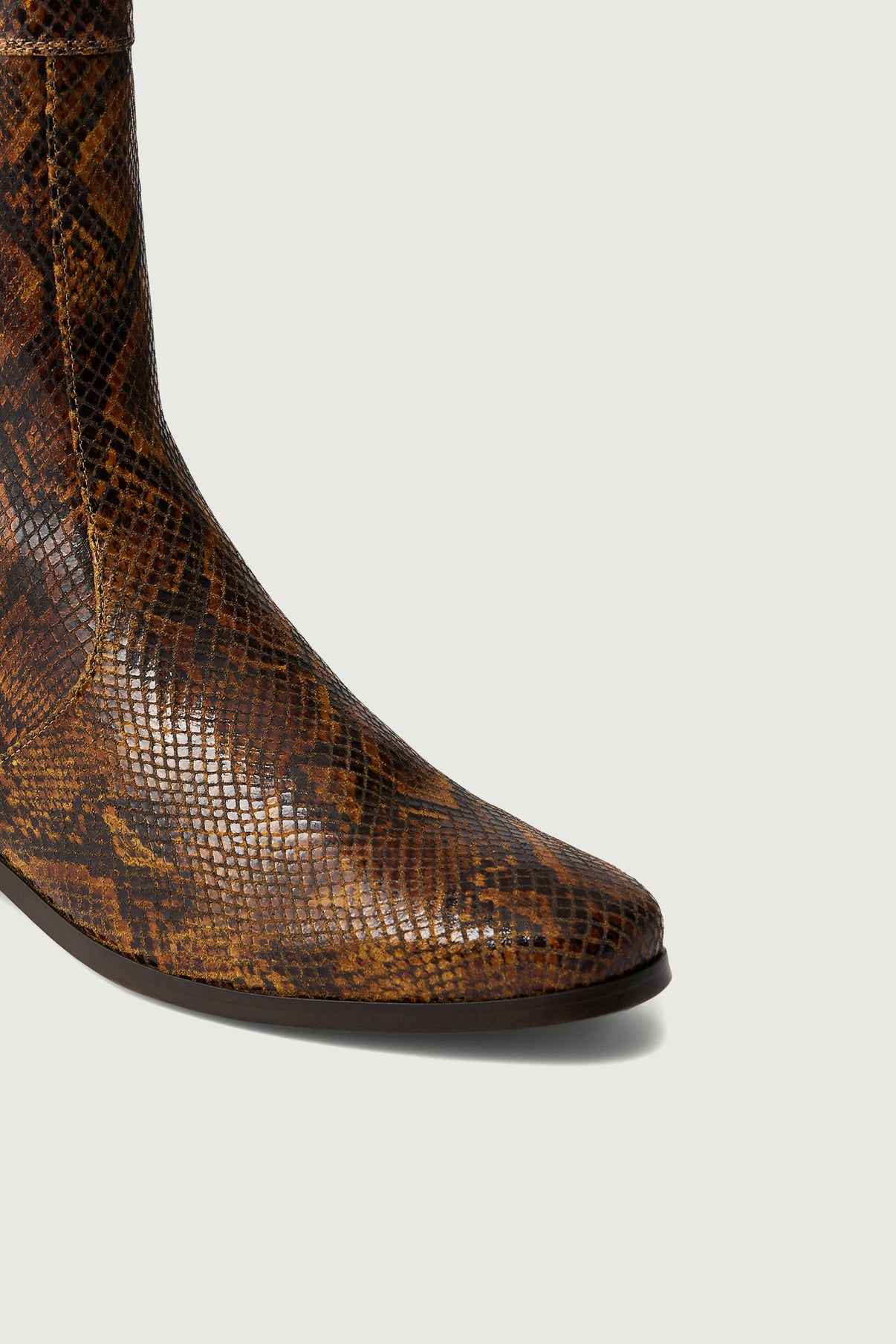 Bottines Écaille - Python - Cuir - Femme vue 5